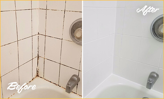 Before and After Picture of a Pooler Shower Tile and Grout Cleaned to Eliminate Mold
