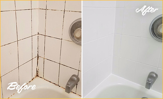 Before and After Picture of a Rockville Shower Tile and Grout Cleaned to Eliminate Mold