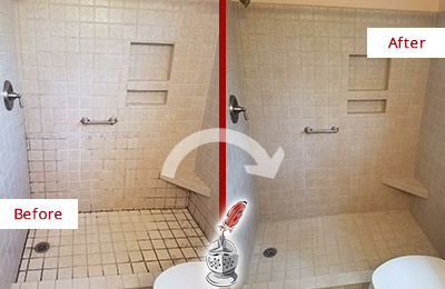 Before and After Picture of a Bloomingdale Shower Grout Cleaned to Remove Mold