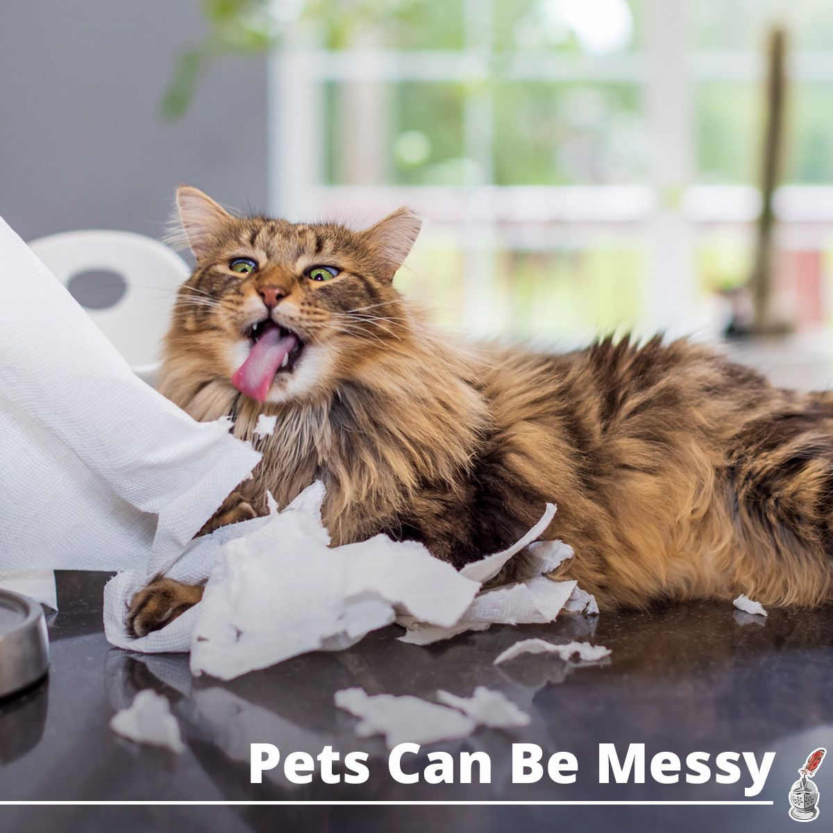 Pets Can Be Messy
