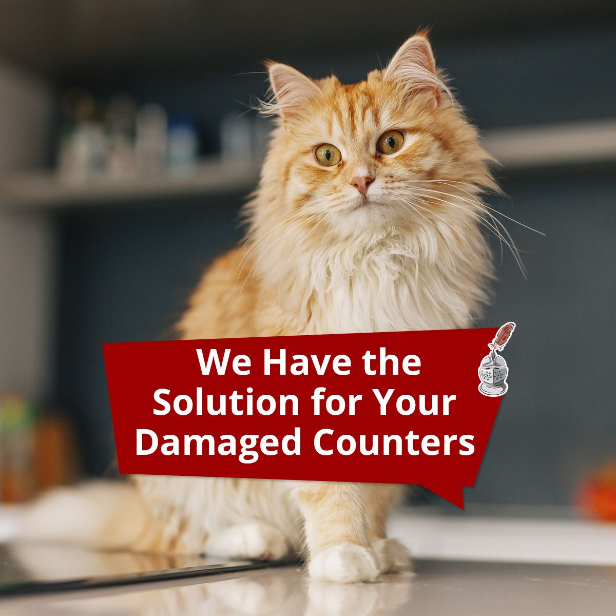 We Have the Solution for Your Damaged Counters